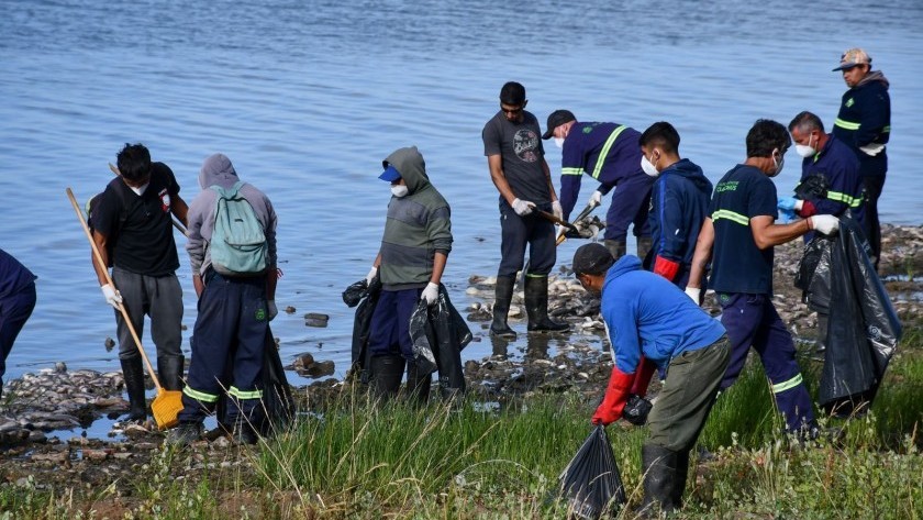 Hallan miles de peces muertos en la Laguna de Chascomús por