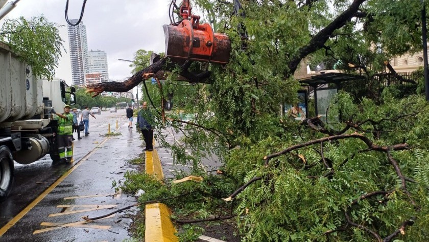 Temporal en el AMBA: cortes de luz, voladura de techos y árboles caídos por la fuerte tormenta