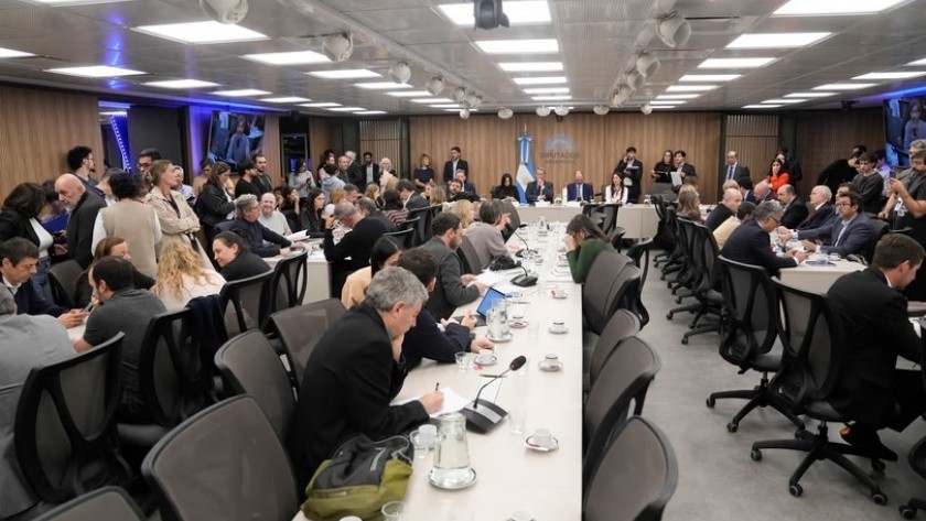 Dictamen en Diputados: El oficialismo aceptó cambios en la Ley de Tierras