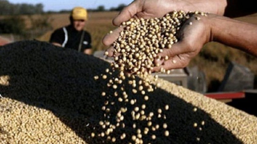 Empresas que liquidaron a valor